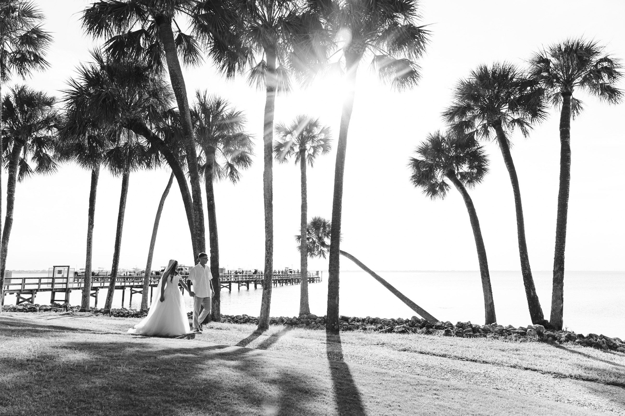Newlyweds walking beneath waterfront palms
