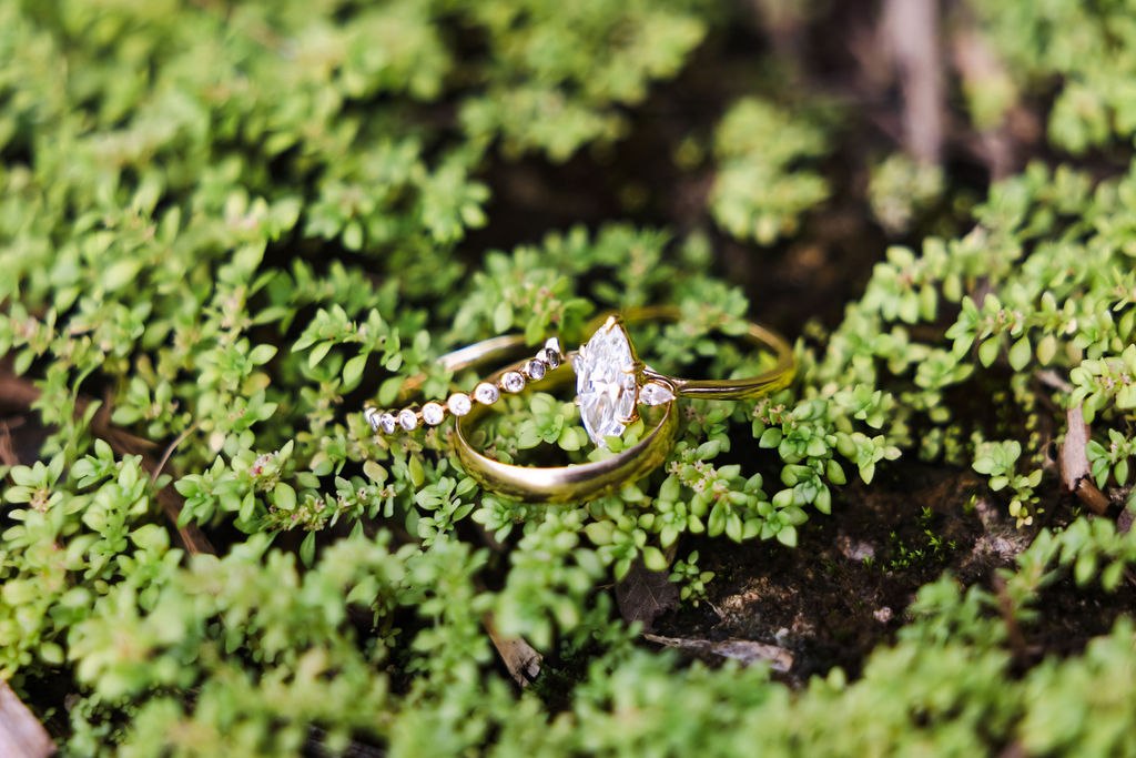 Close photograph of the engagement ring resting among greenery