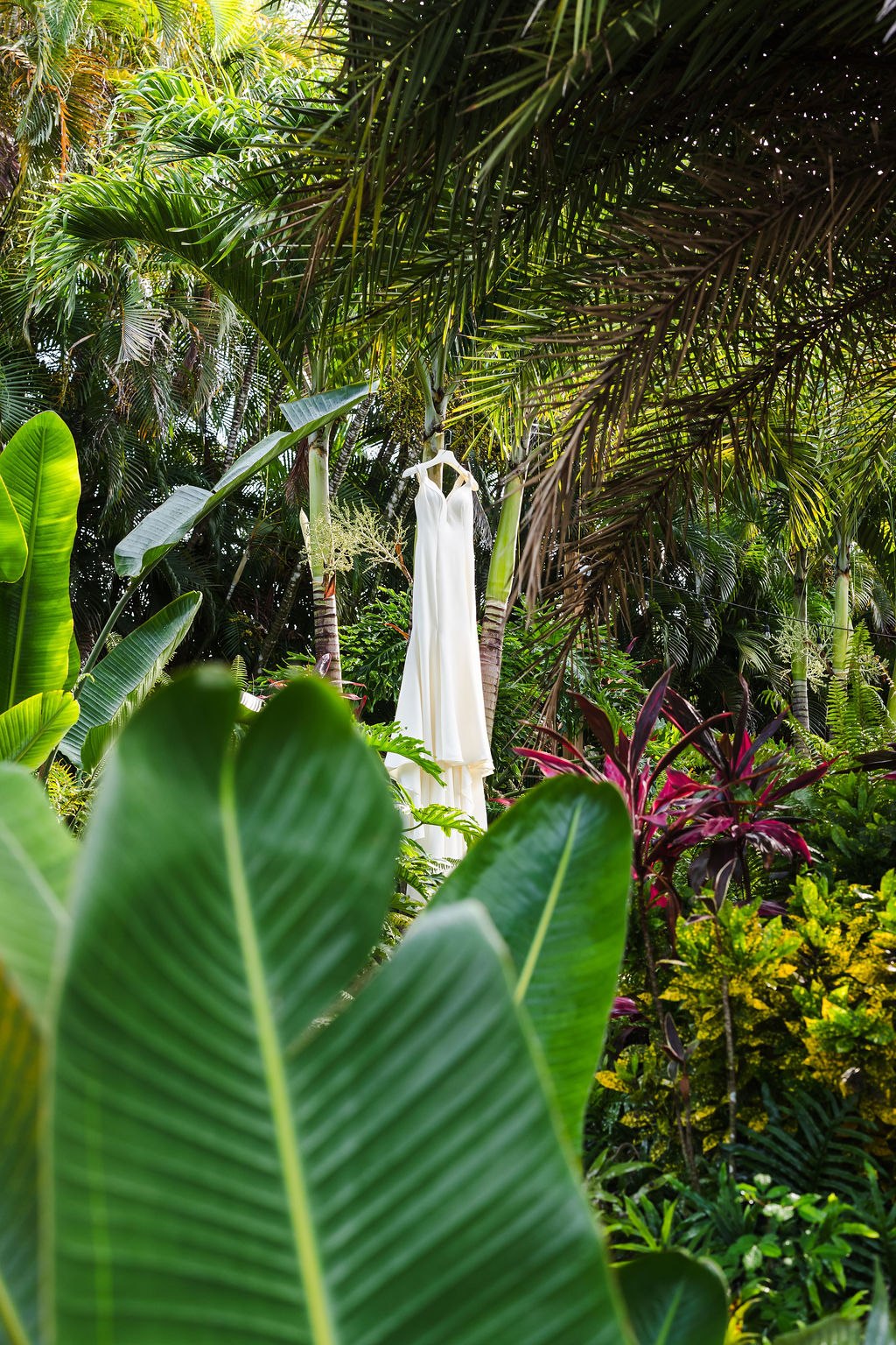 Sharlena framed by large tropical leaves