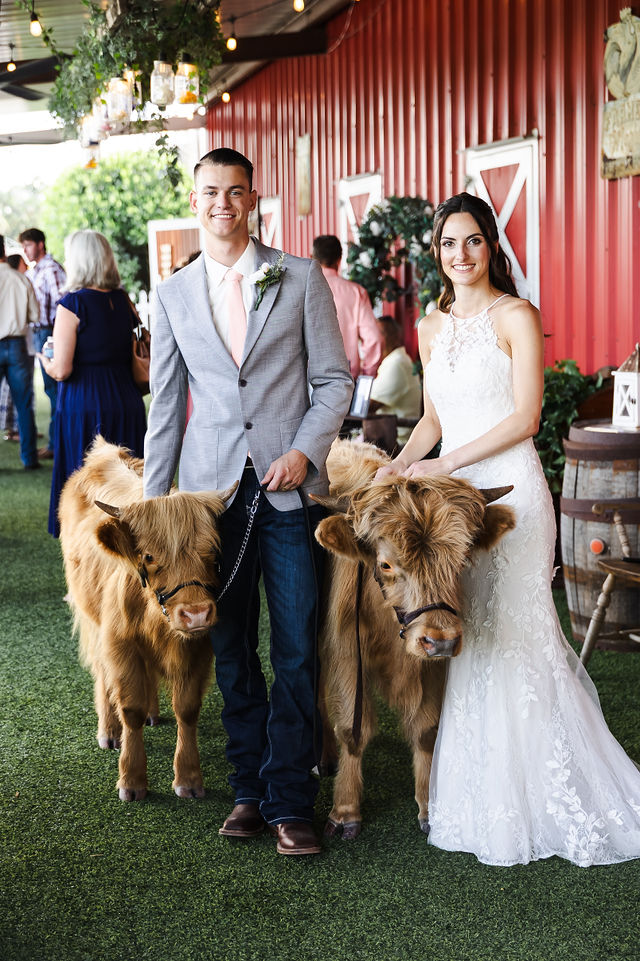 Haley and Trace posing with Highland cattle at Rayshell Ranch
