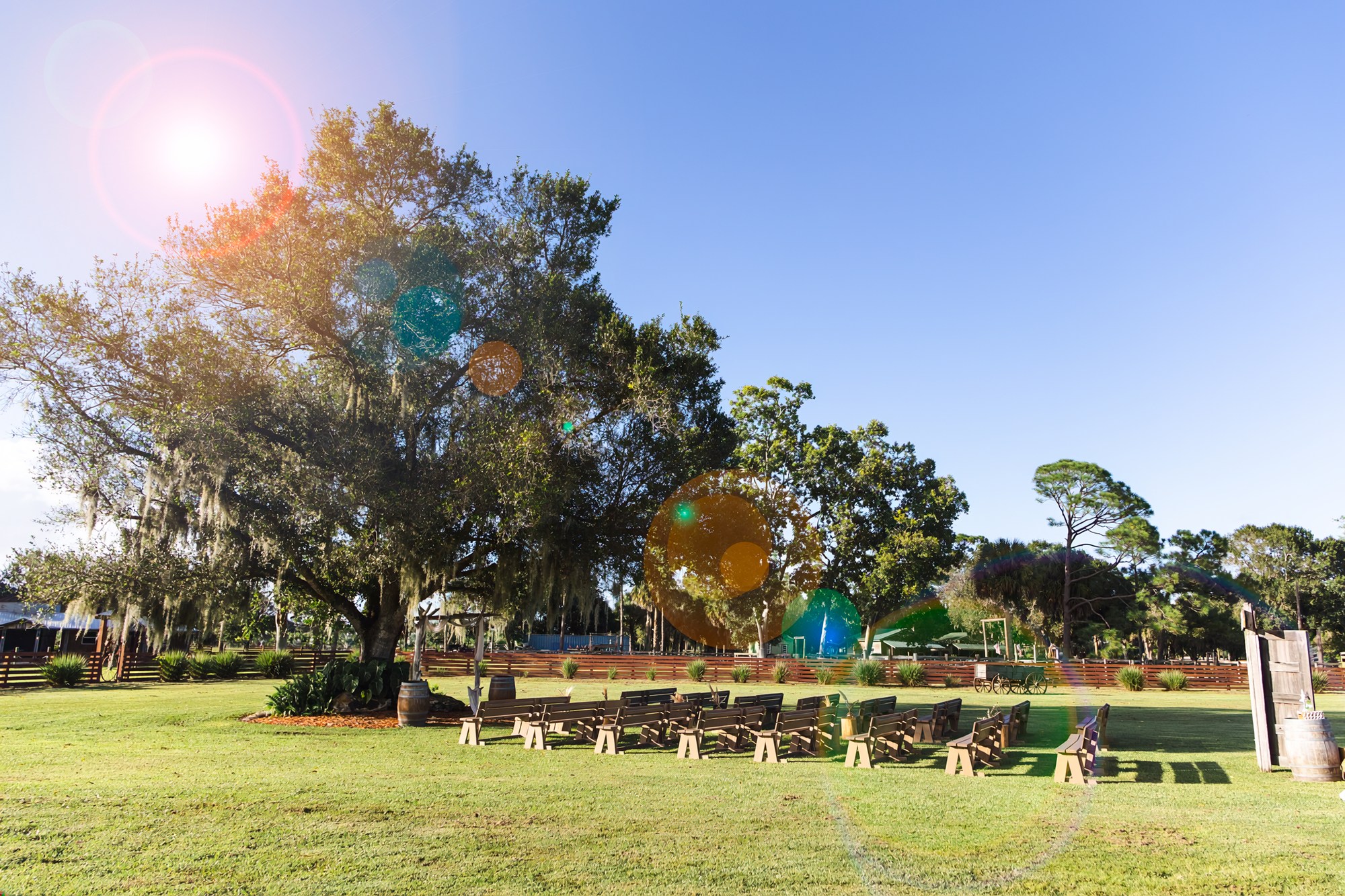Outdoor wedding ceremony benches beneath a spreading oak at Rockin H Ranch in Palm City
